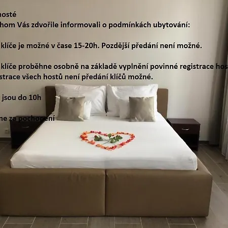 Euro Lidická 39 Appartamento *