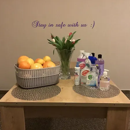 Euro Lidicka 39 Apartment Brno