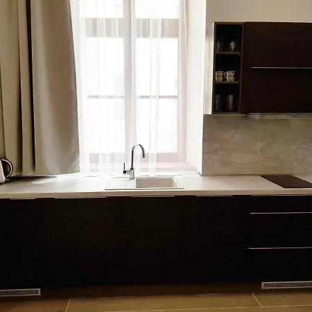 Apartment Euro Lidicka 39 Brno