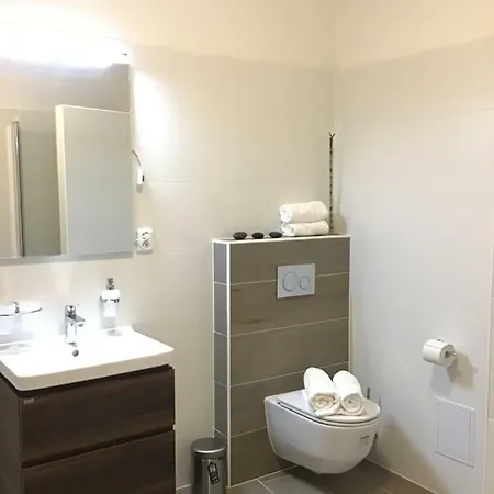 Euro Lidicka 39 Apartment *