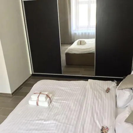Apartment Euro Lidicka 39 *