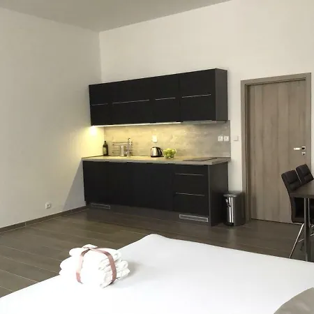 Apartament Euro Lidicka 39 Brno