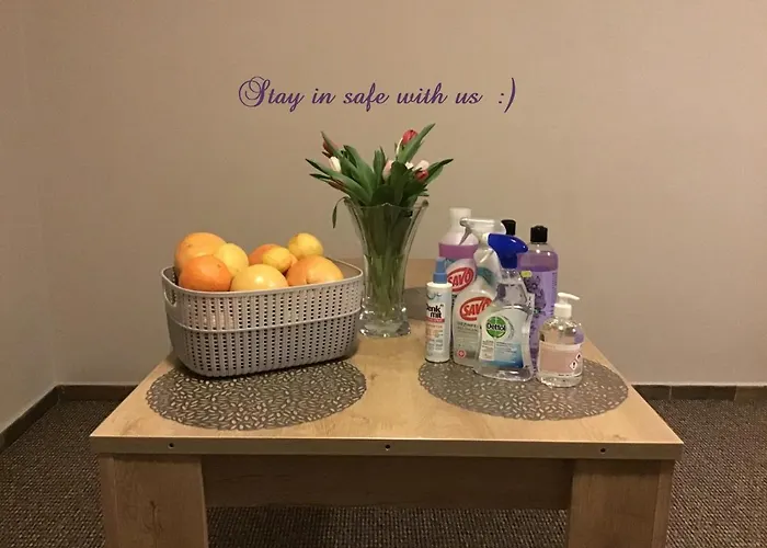 Euro Lidicka 39 Apartment Brno