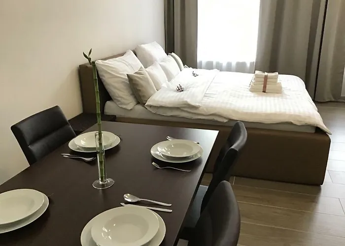 Apartament Euro Lidicka 39 Brno