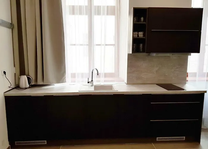 Apartment Euro Lidicka 39 Brno